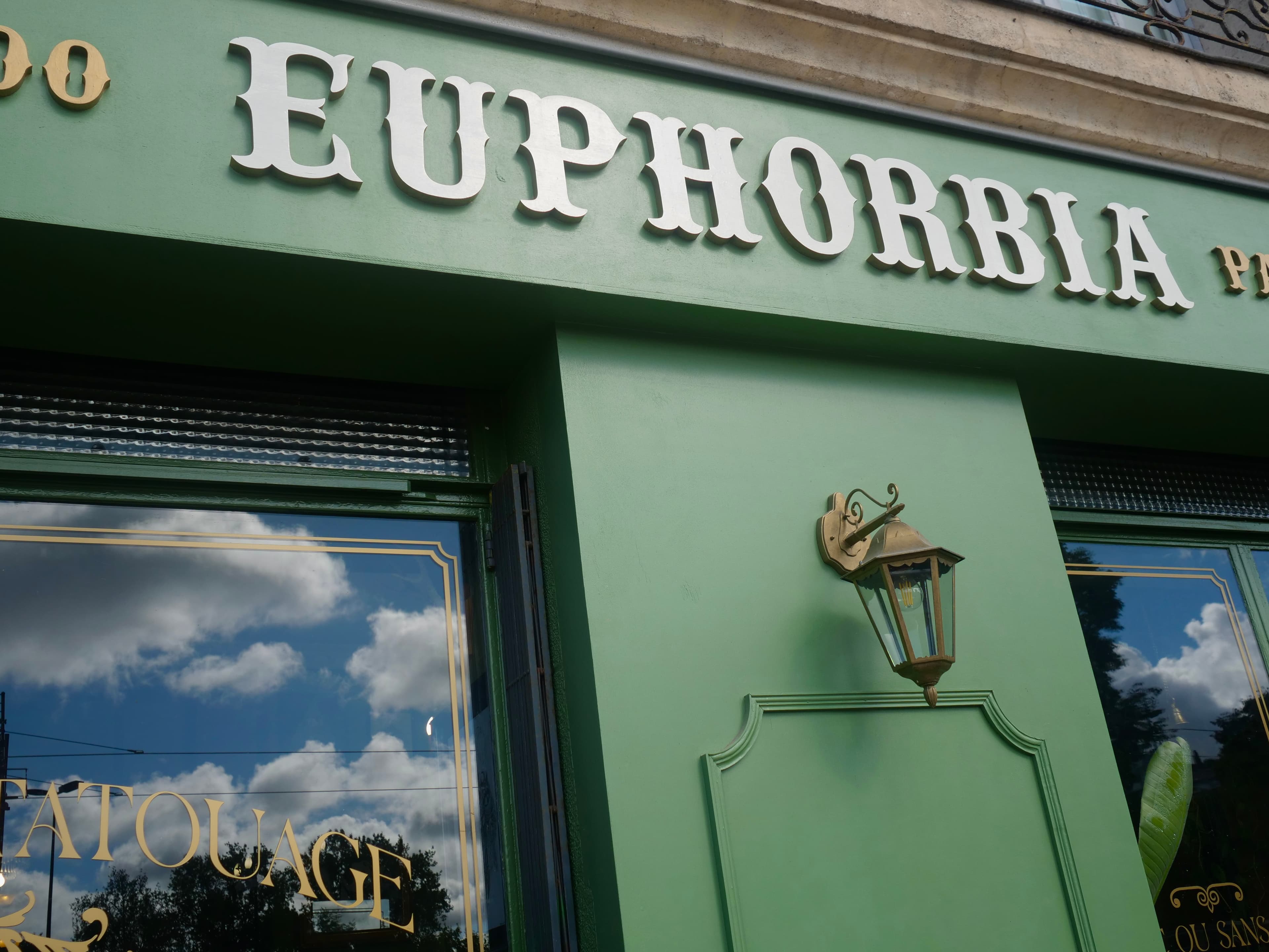 Ambiance du salon Euphorbia